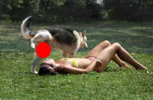 芝生に寝そべる女性が犬にションベンかけられている屈辱的マーキング画像【素敵な一枚】