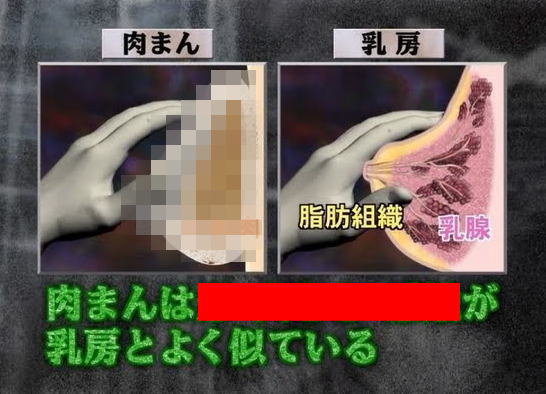 肉まんと女性の乳房を比較した画像